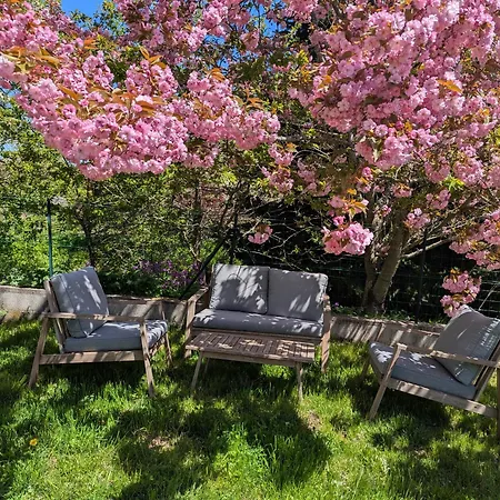 Tres Lumineux Style Mazet-Saint-Voy